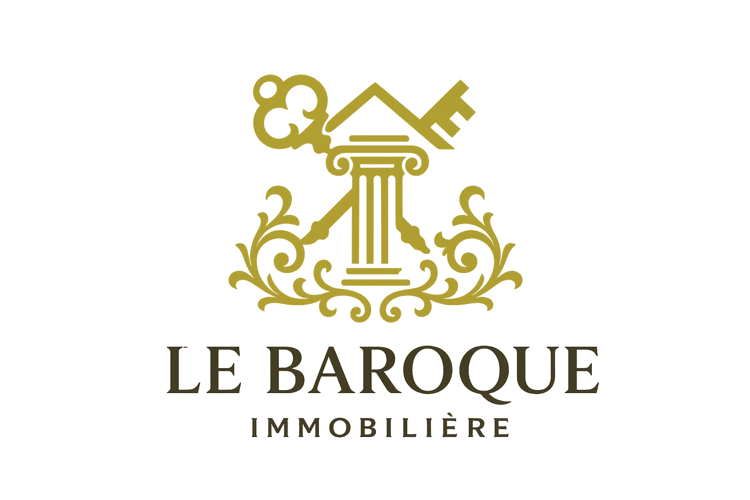 Agence Immobilière le baroque